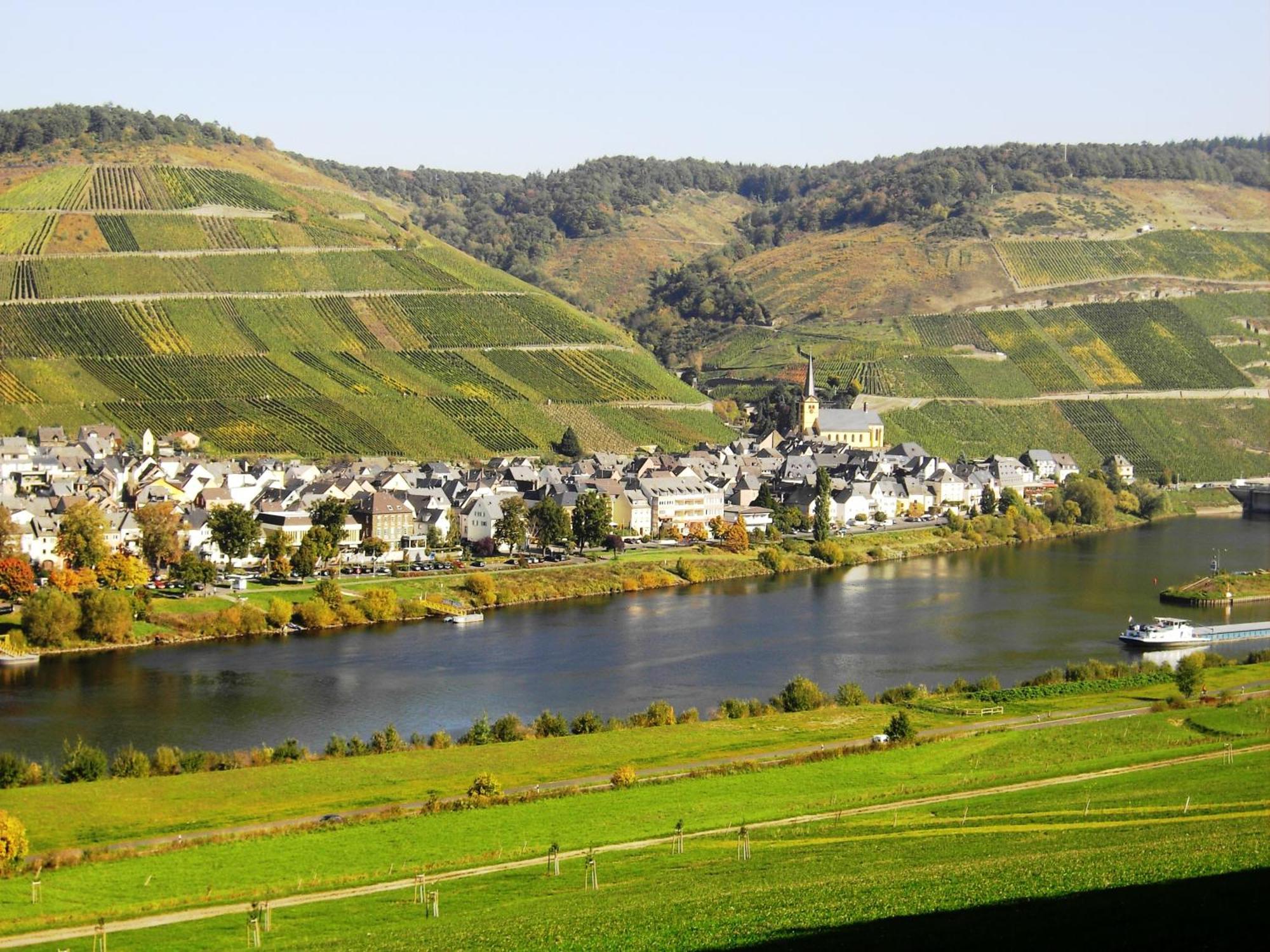Weinstube Pension Moselbluemchen Цельтинген-Рахтиг Экстерьер фото