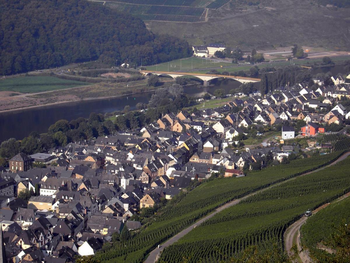 Weinstube Pension Moselbluemchen Цельтинген-Рахтиг Экстерьер фото